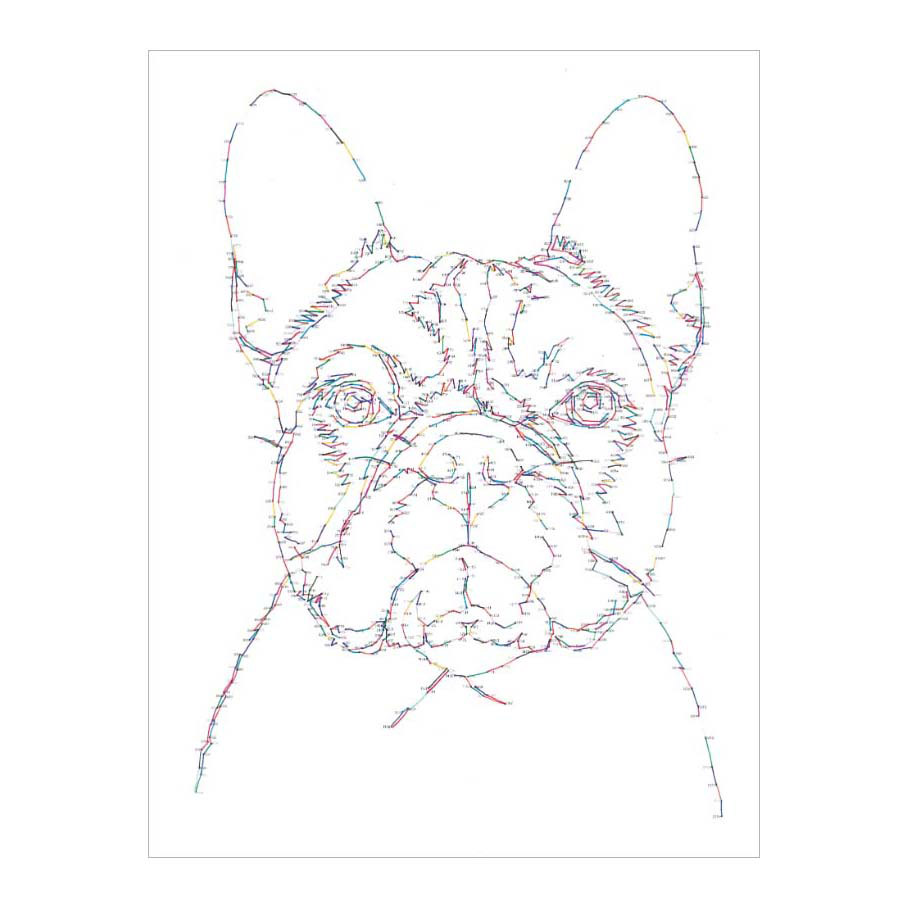 World of dogs Tekenen van Punt tot Punt