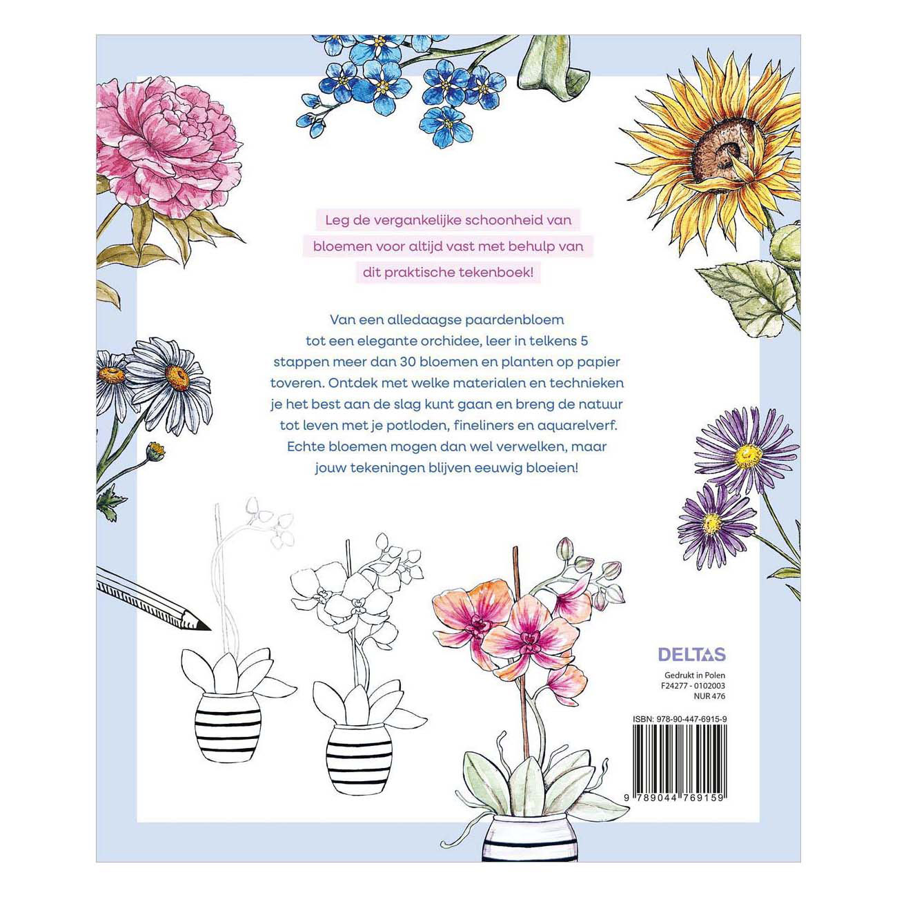 Stap Voor Stap Bloemen Leren Tekenen