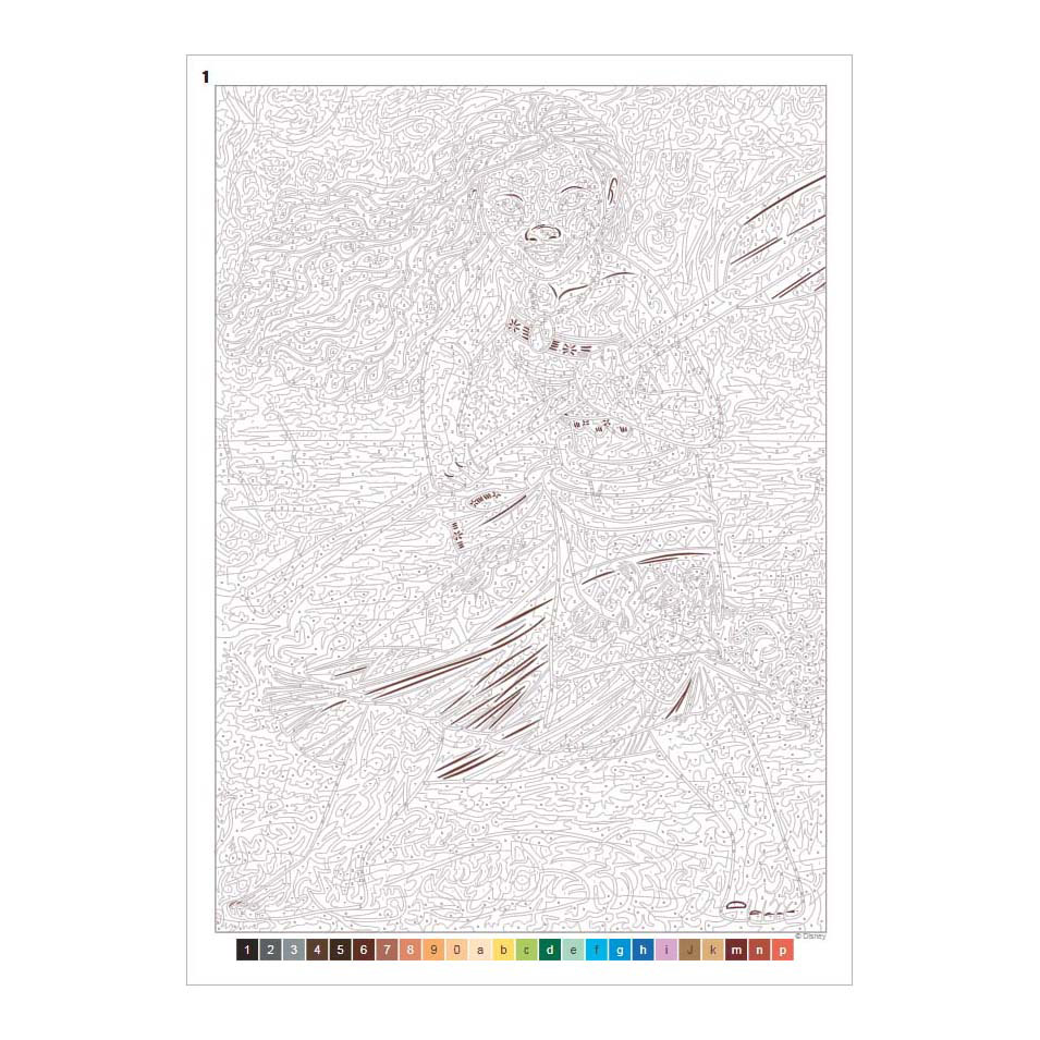 Disney Princess - Kleuren op Nummer Voor Volwassenen