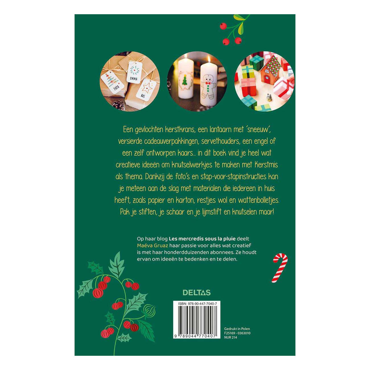 Het Mooiste Kerstknutselboek