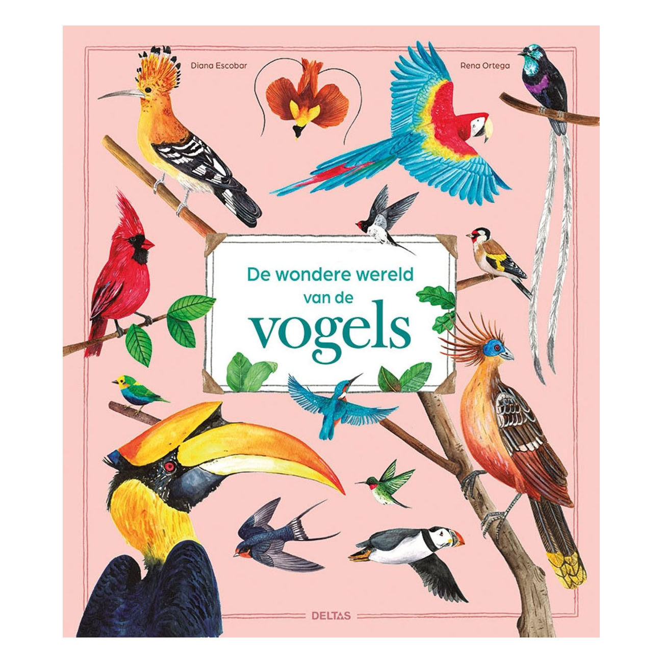 De wondere wereld van vogels