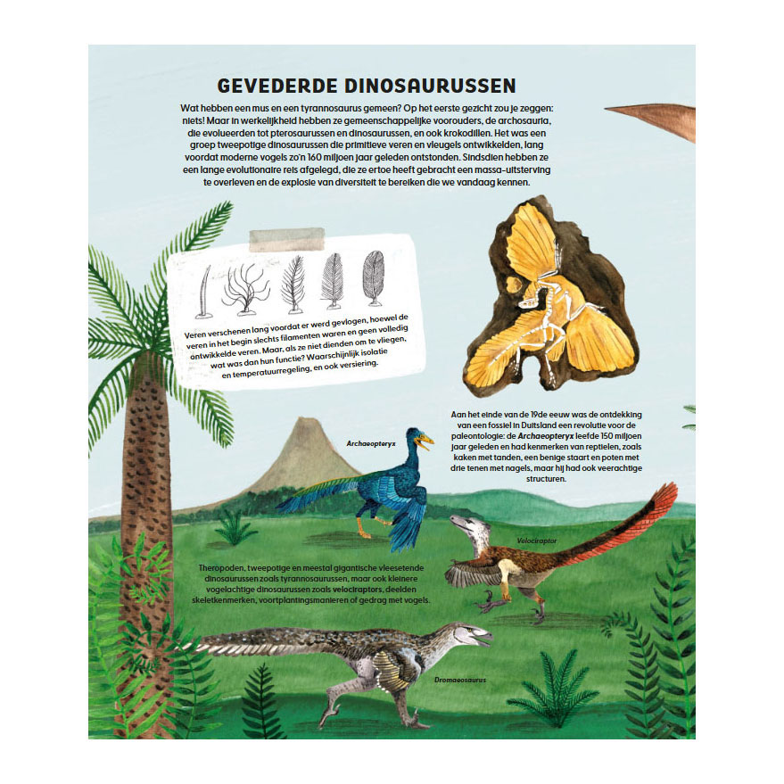 De wondere wereld van vogels