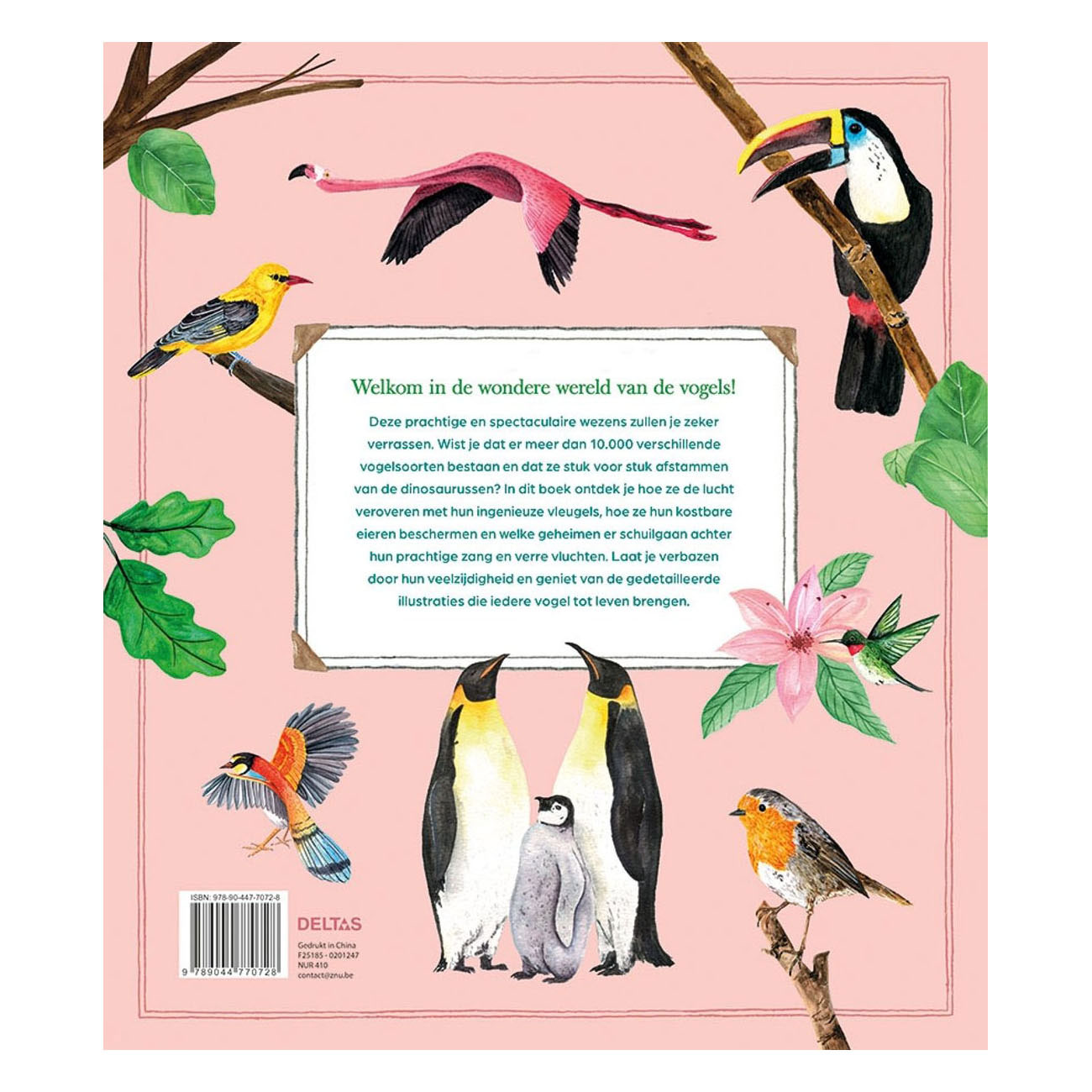 De wondere wereld van vogels