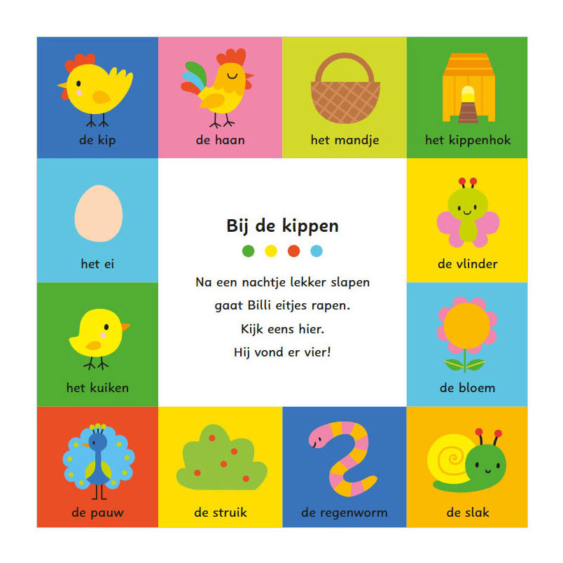 Mijn Allereerste Woordenboek - Spelen en Leren met Billi Kartonboekje