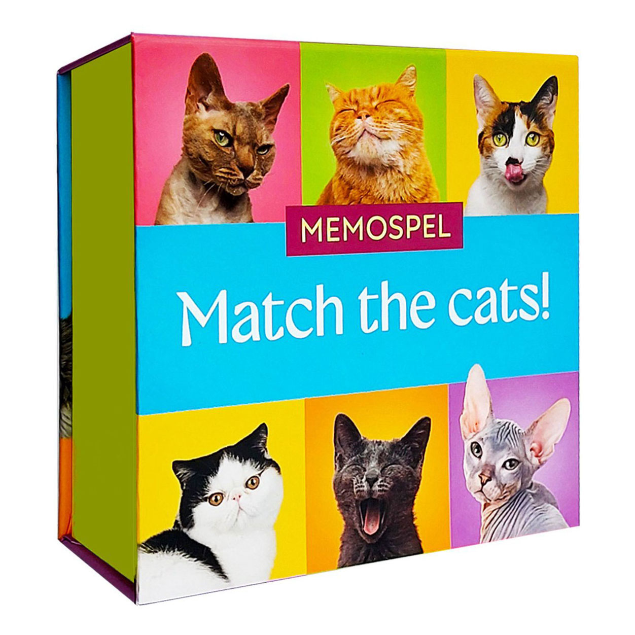 Associez les chats ! - Memospel