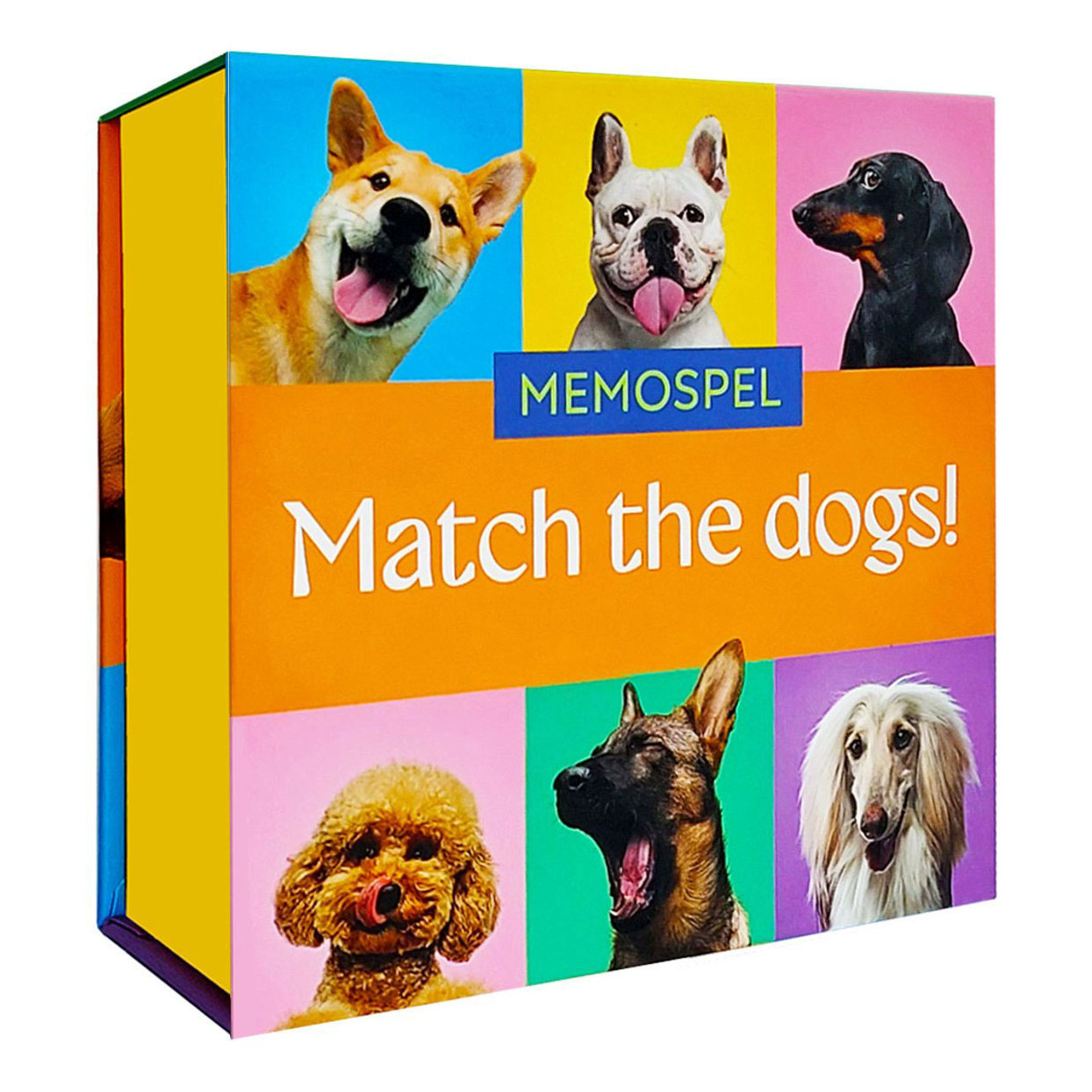 Associez les chiens ! - Memospel