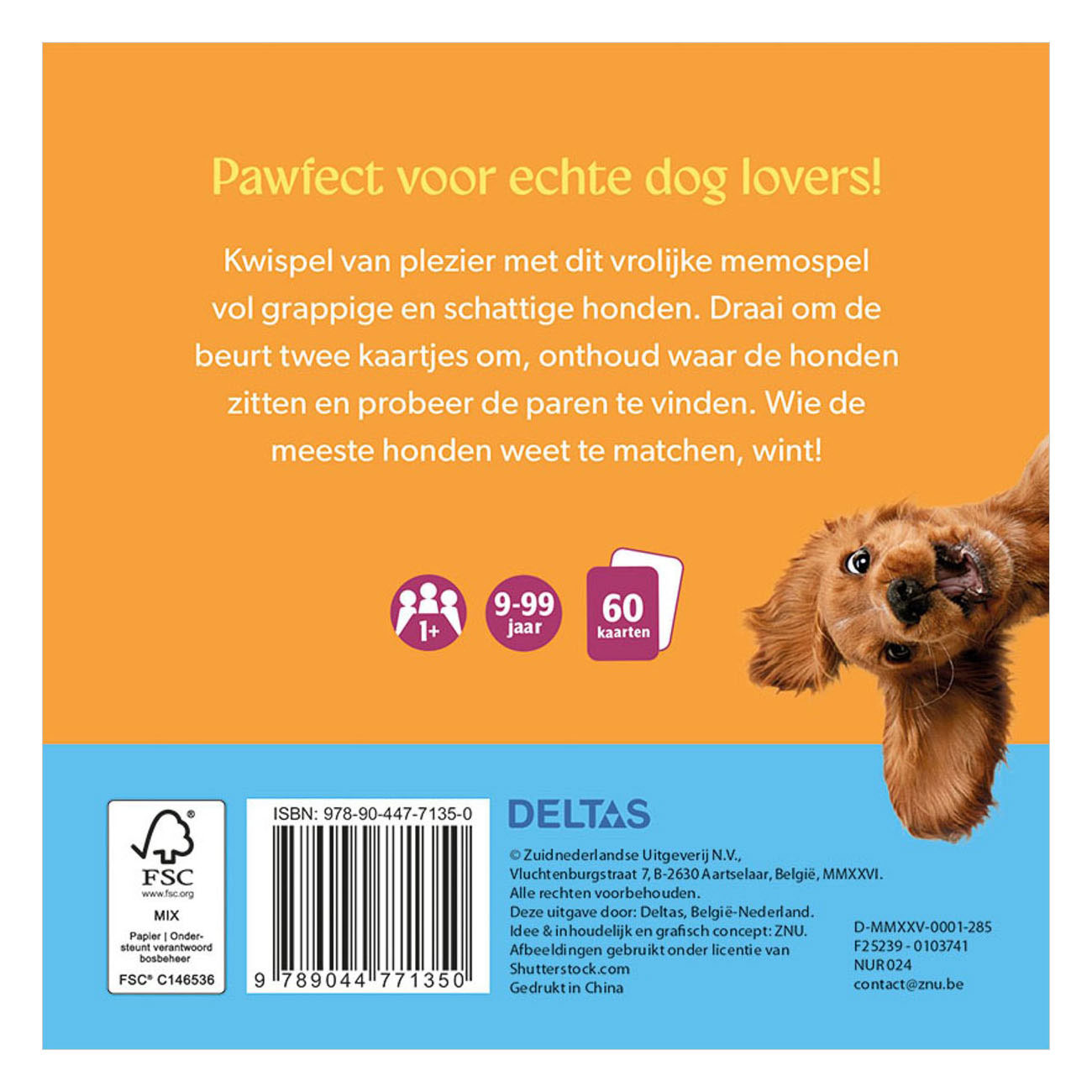 Associez les chiens ! - Memospel