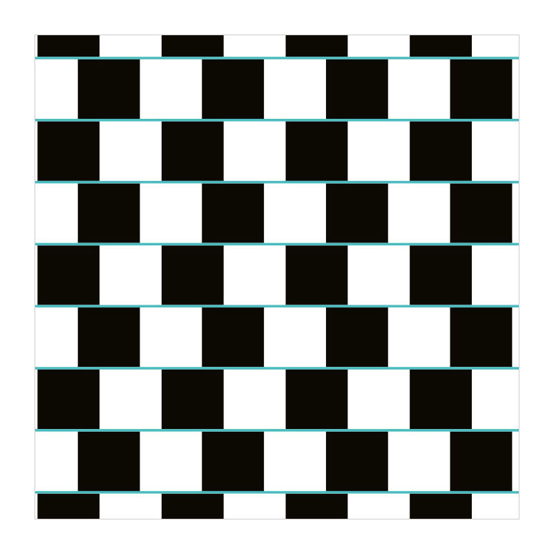 Optische illusies - Memospel