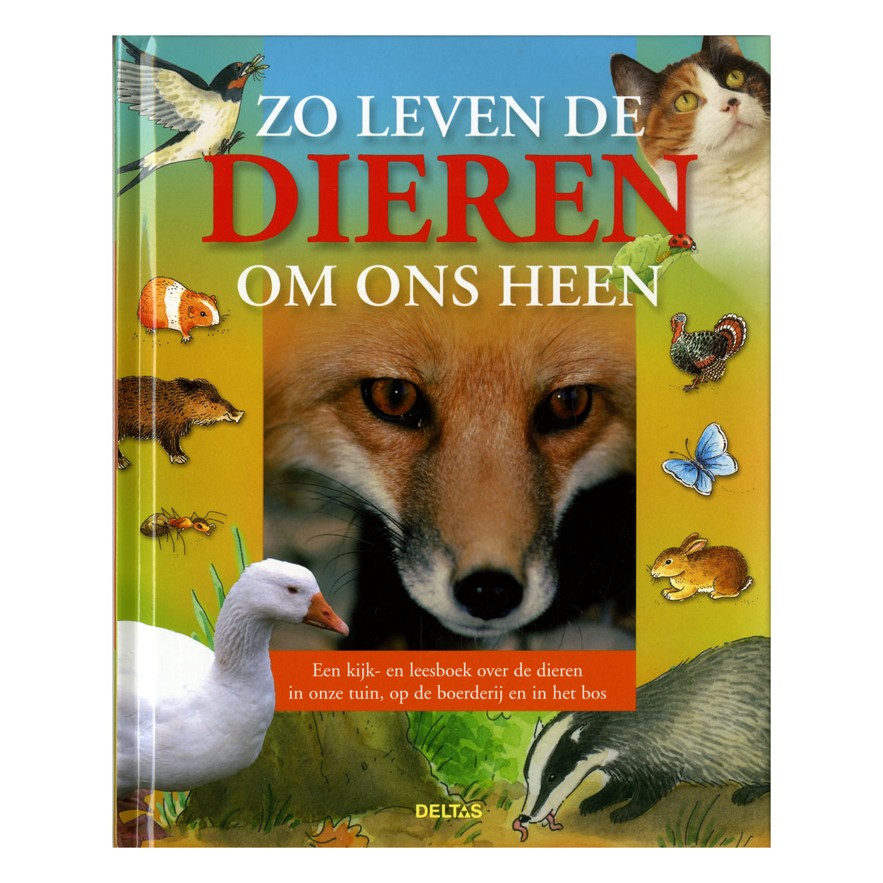 Zo leven de dieren om ons heen