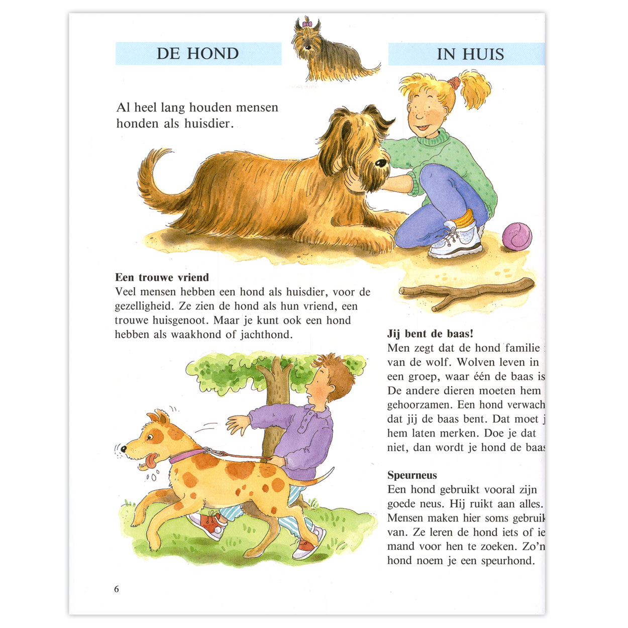 Zo leven de dieren om ons heen