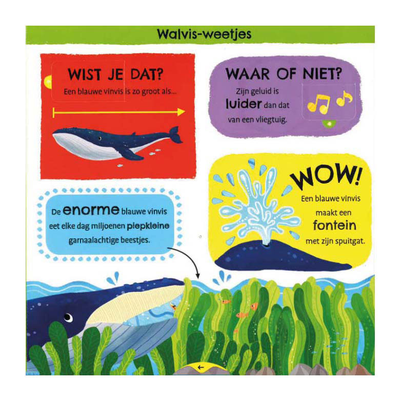 Mijn eerste weetjesboek Bij de Dieren