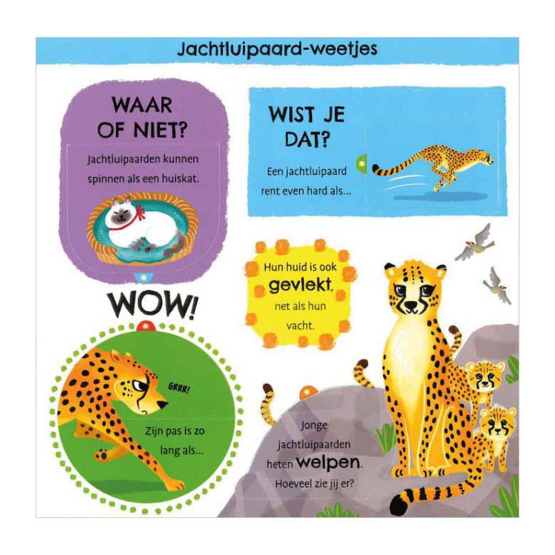 Mijn eerste weetjesboek Bij de Dieren