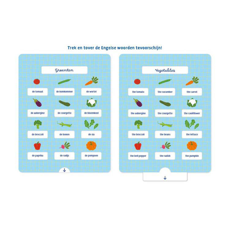 Ik leer Engelse woorden Oefenkaarten