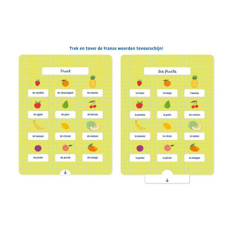 Ik leer Franse woorden Oefenkaarten