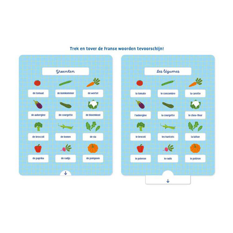 Ik leer Franse woorden Oefenkaarten