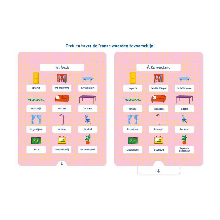 Ik leer Franse woorden Oefenkaarten