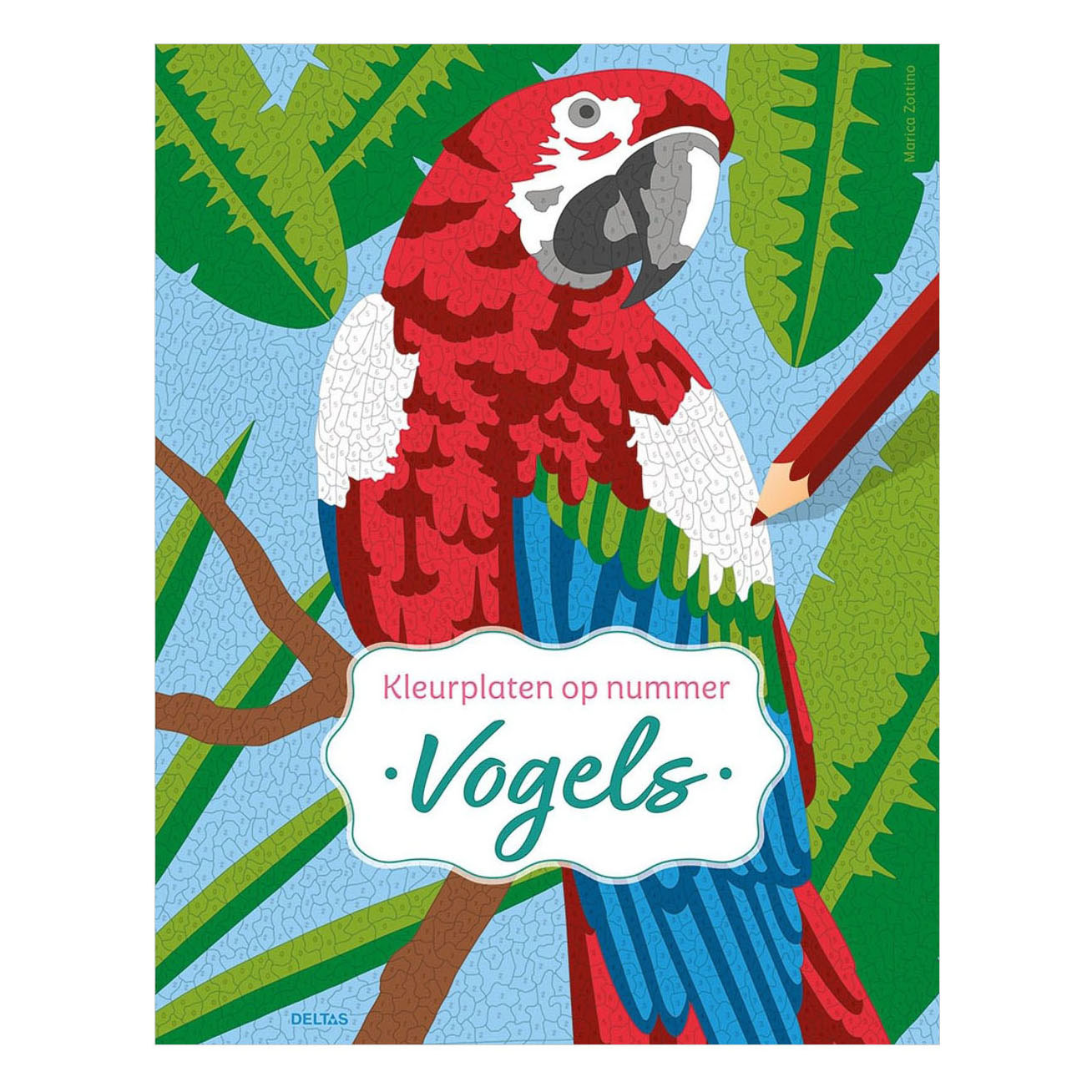 Oiseaux - Coloriages par numéro