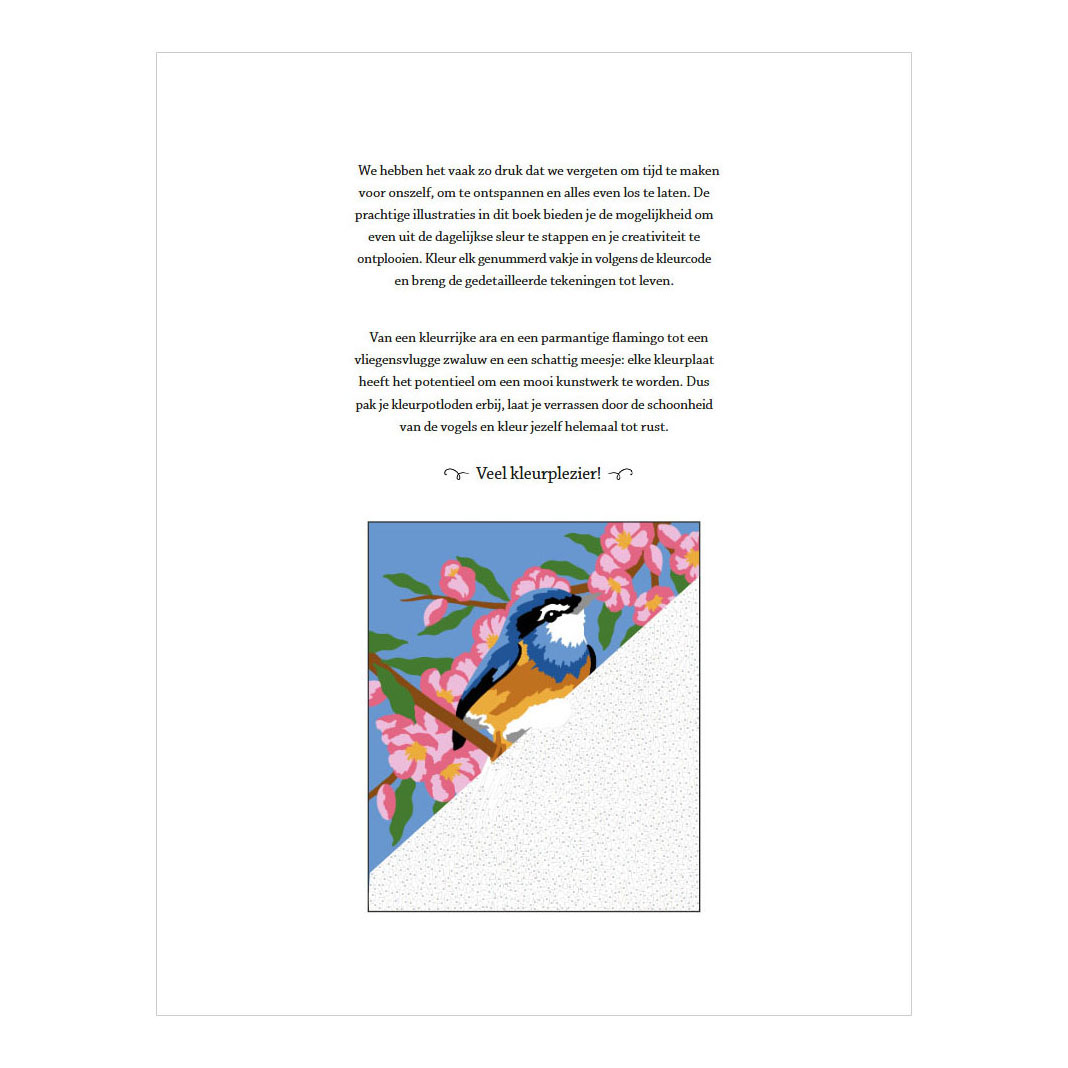 Oiseaux - Coloriages par numéro