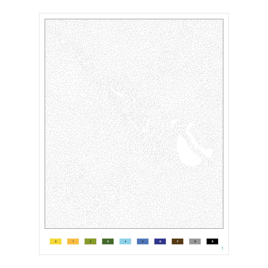 Oiseaux - Coloriages par numéro