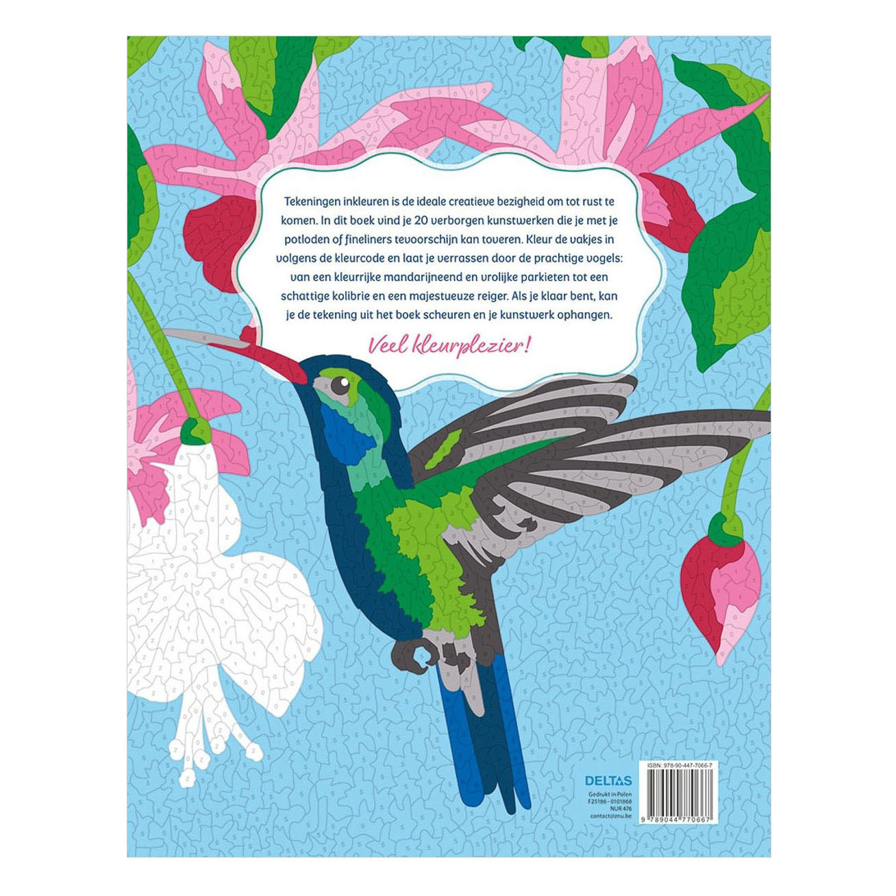 Oiseaux - Coloriages par numéro