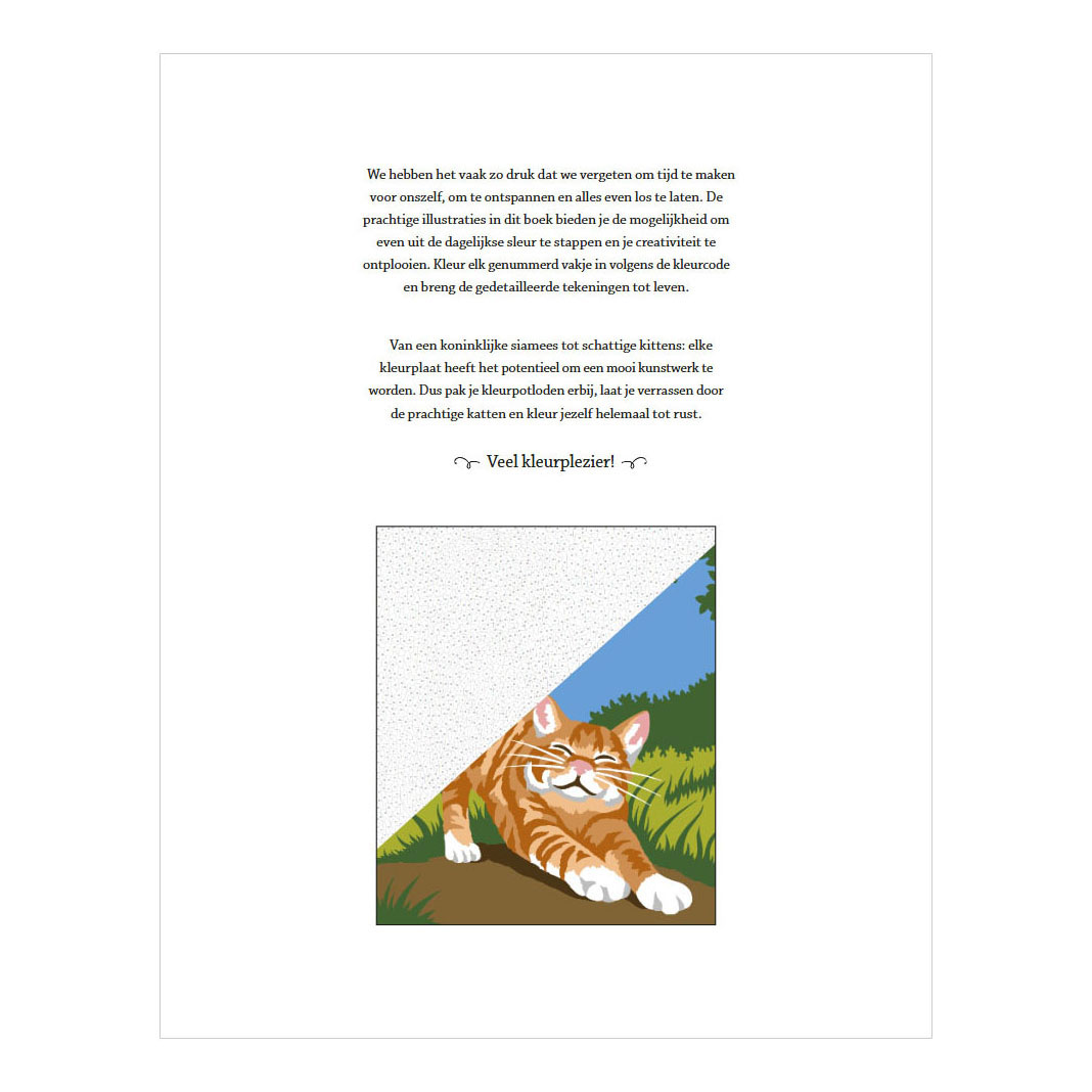 Chats - Coloriages par numéro