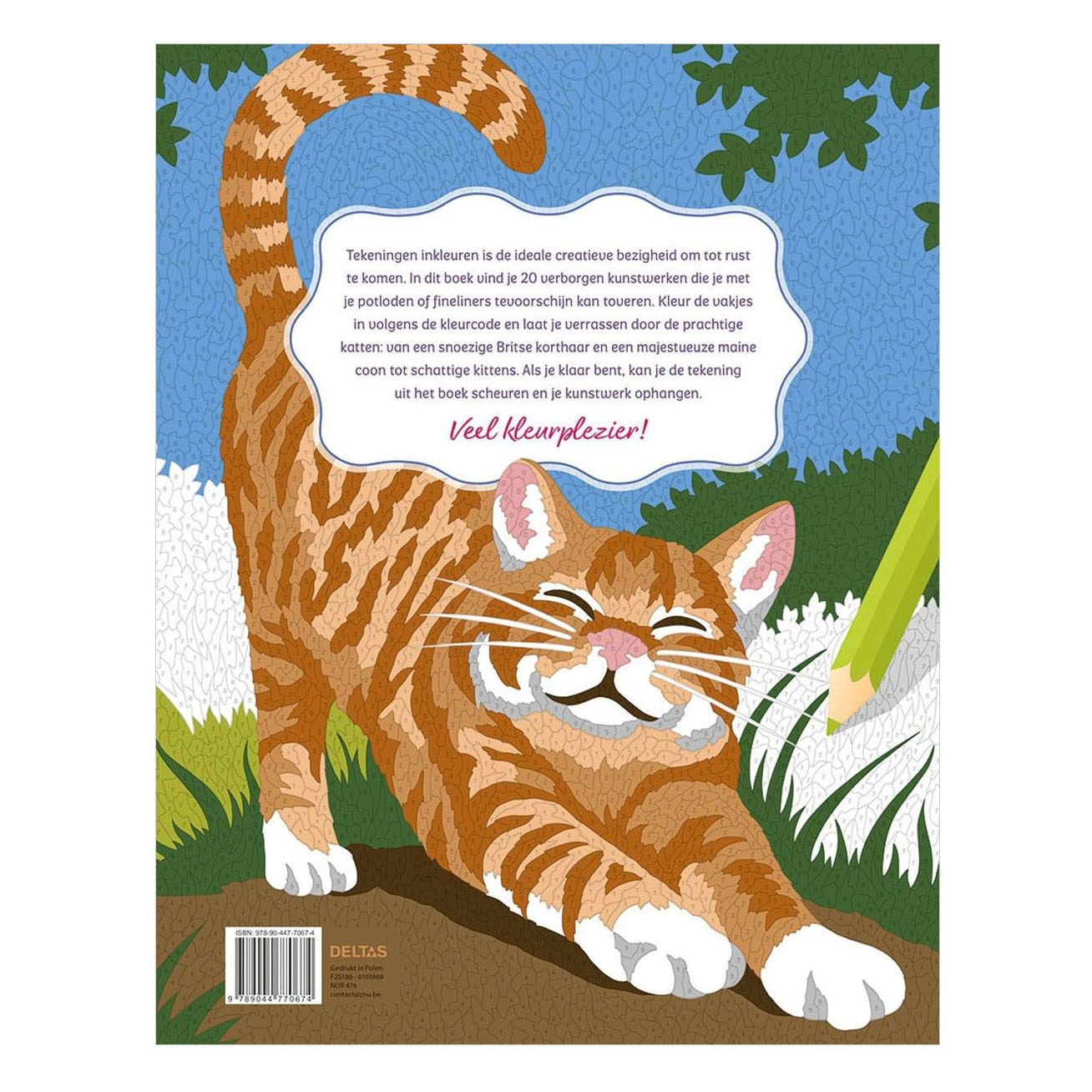 Chats - Coloriages par numéro