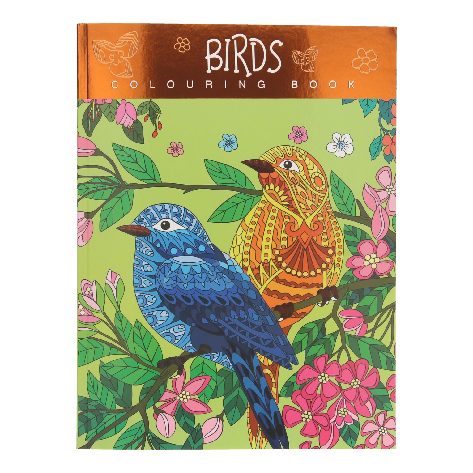 Kleurboek Birds | Schoencadeau | Sint-tip | Kerst-tip