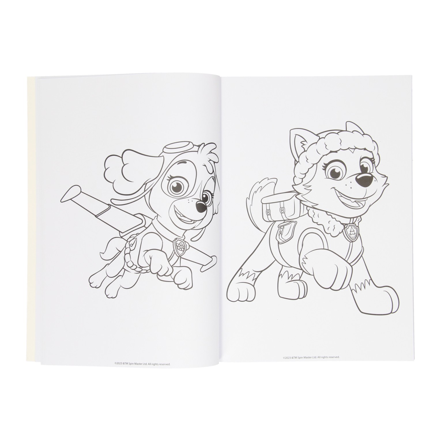 Kleurboek PAW Patrol, 128blz.