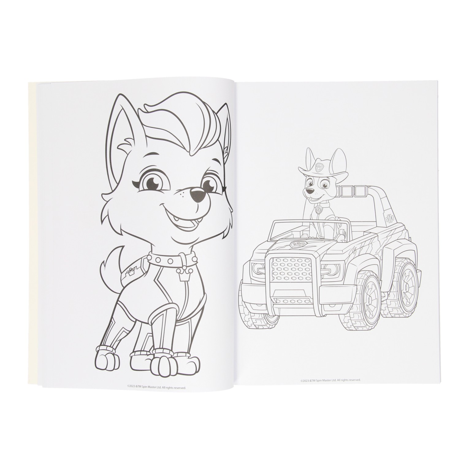 Kleurboek PAW Patrol, 128blz.