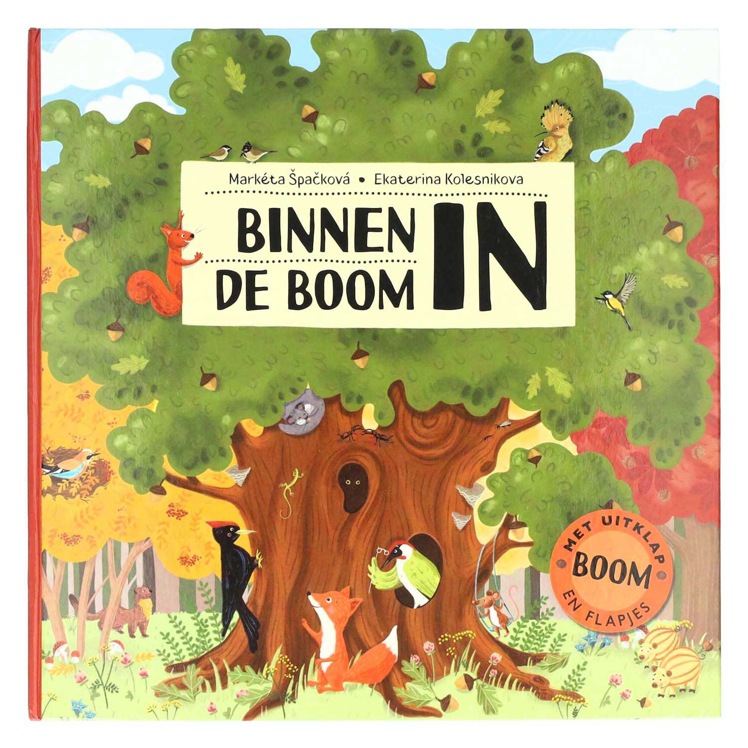 Livre à volets et à dépliants à l'intérieur de l'arbre