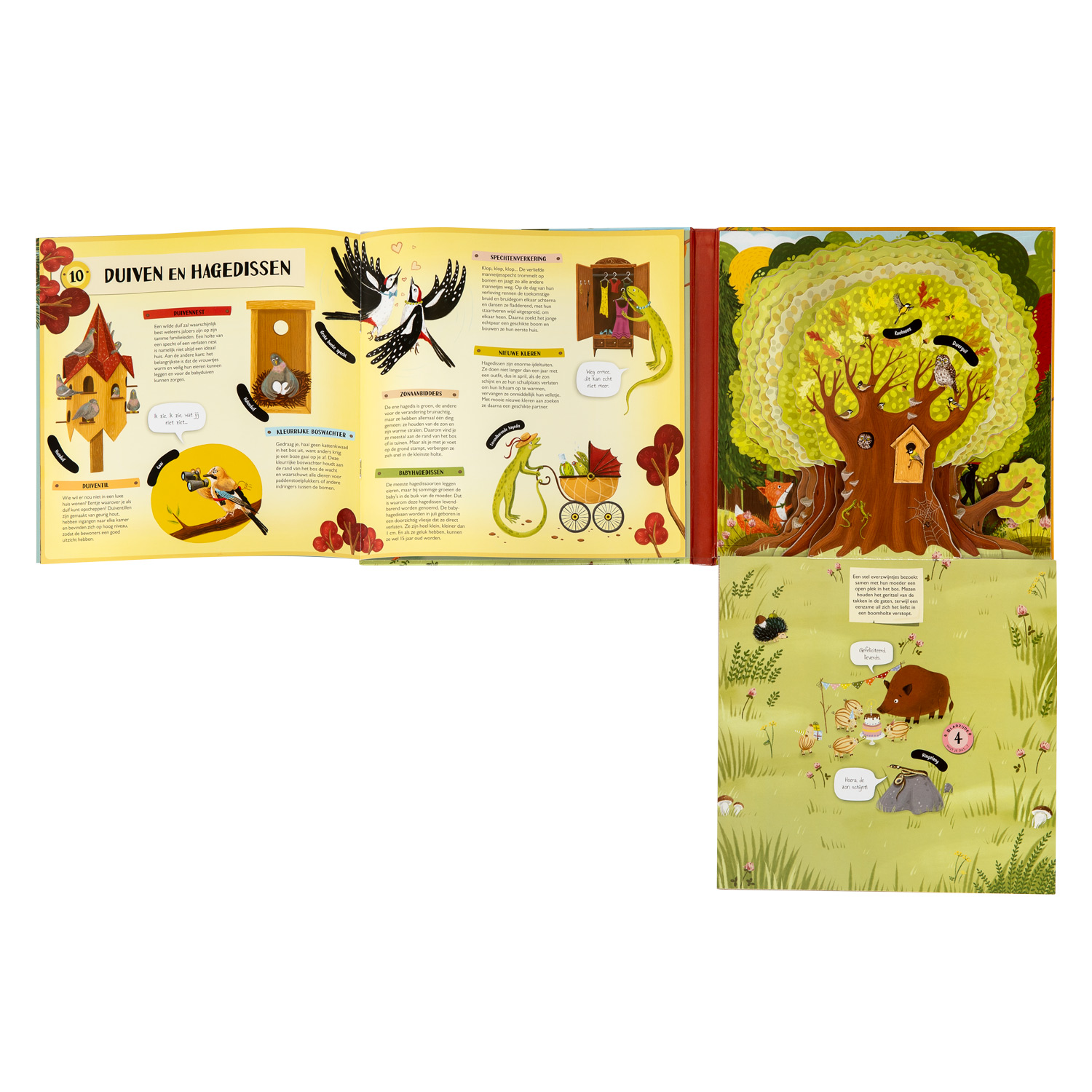 Uitklap- en Flapjesboek Binnen in de Boom