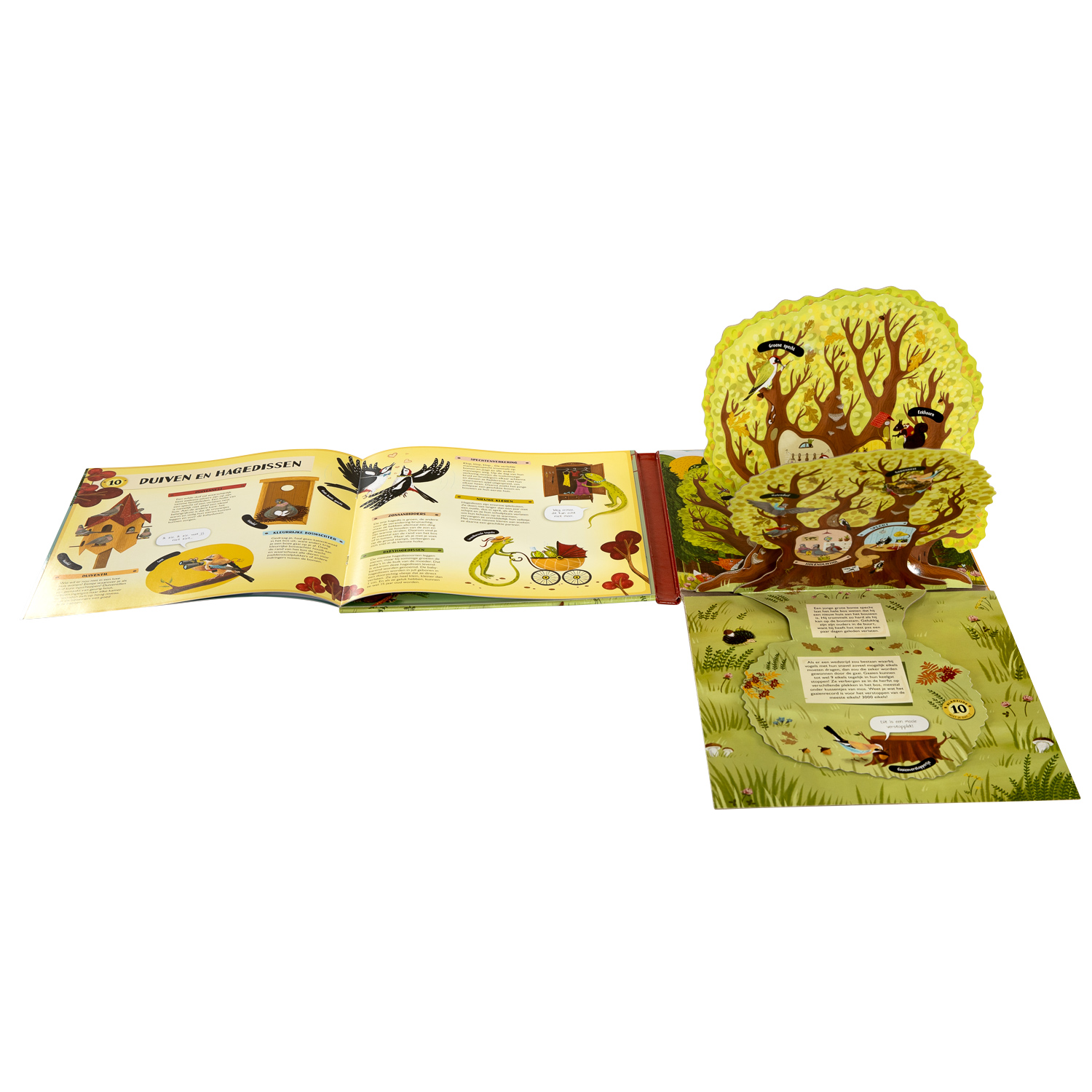 Uitklap- en Flapjesboek Binnen in de Boom