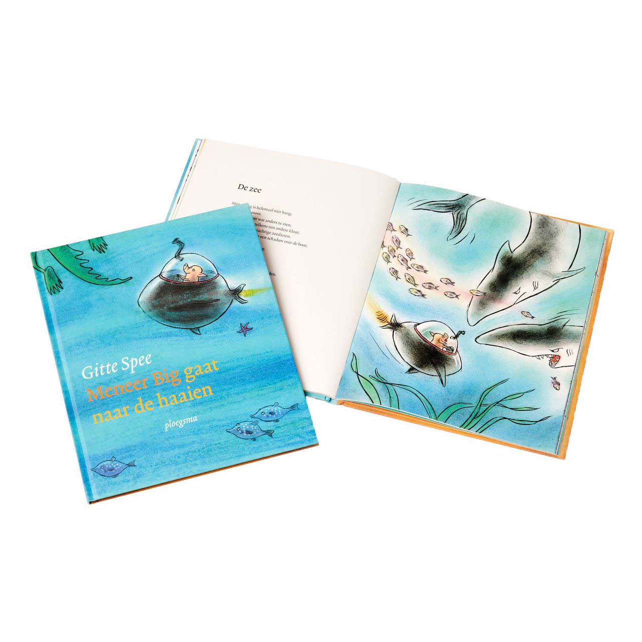(Lecture) du livre Mr. BIG aux requins