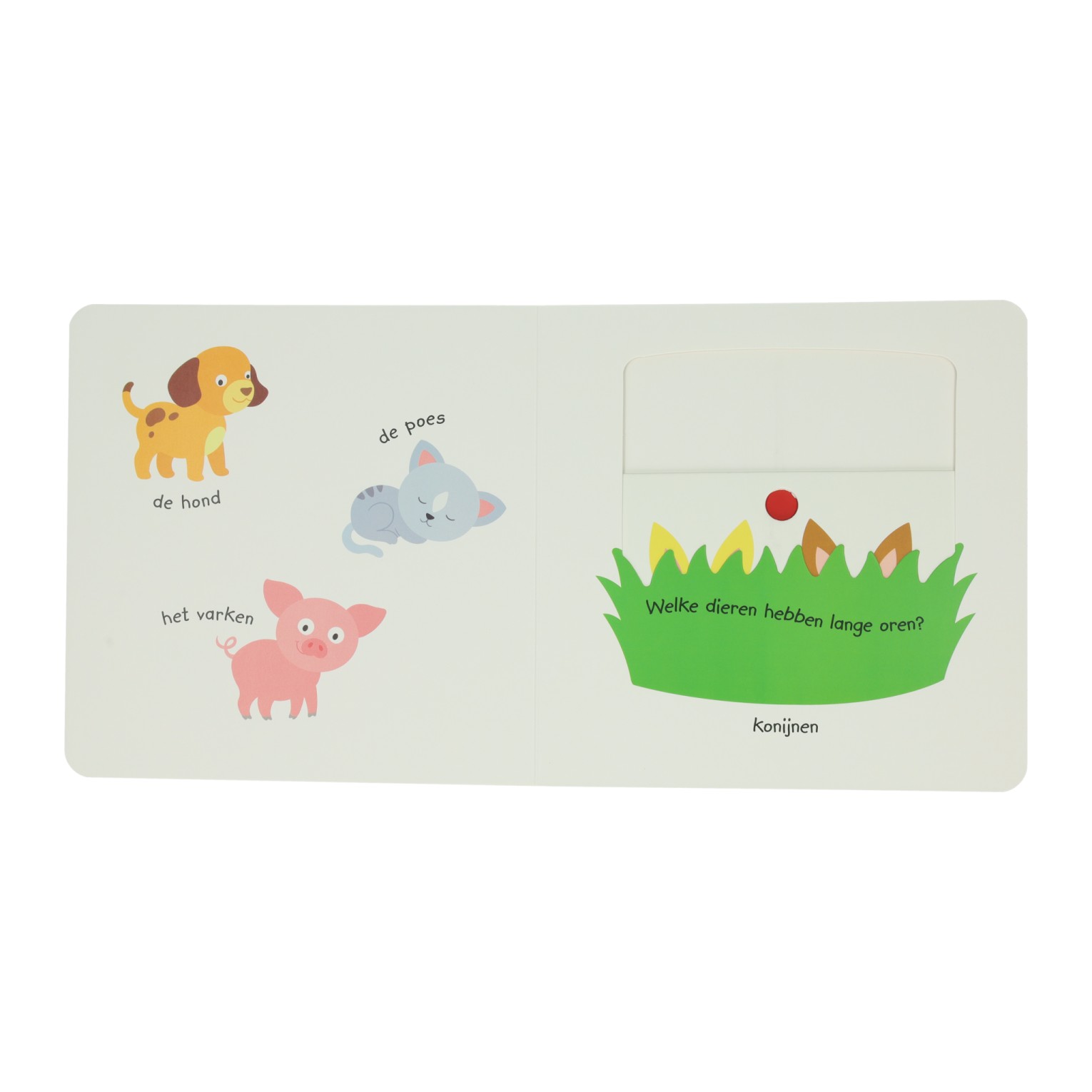 Livre coulissant en carton - Jouer et apprendre les animaux