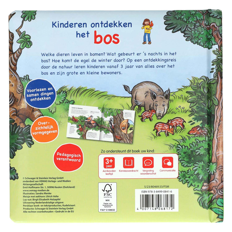 Les enfants découvrent la forêt