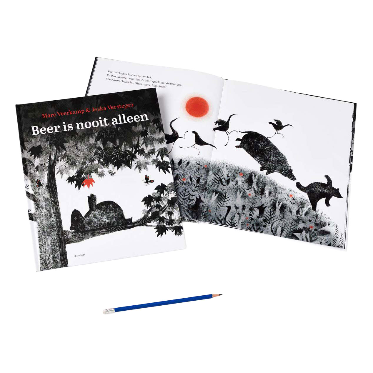 (Voor)leesboek Beer is nooit alleen