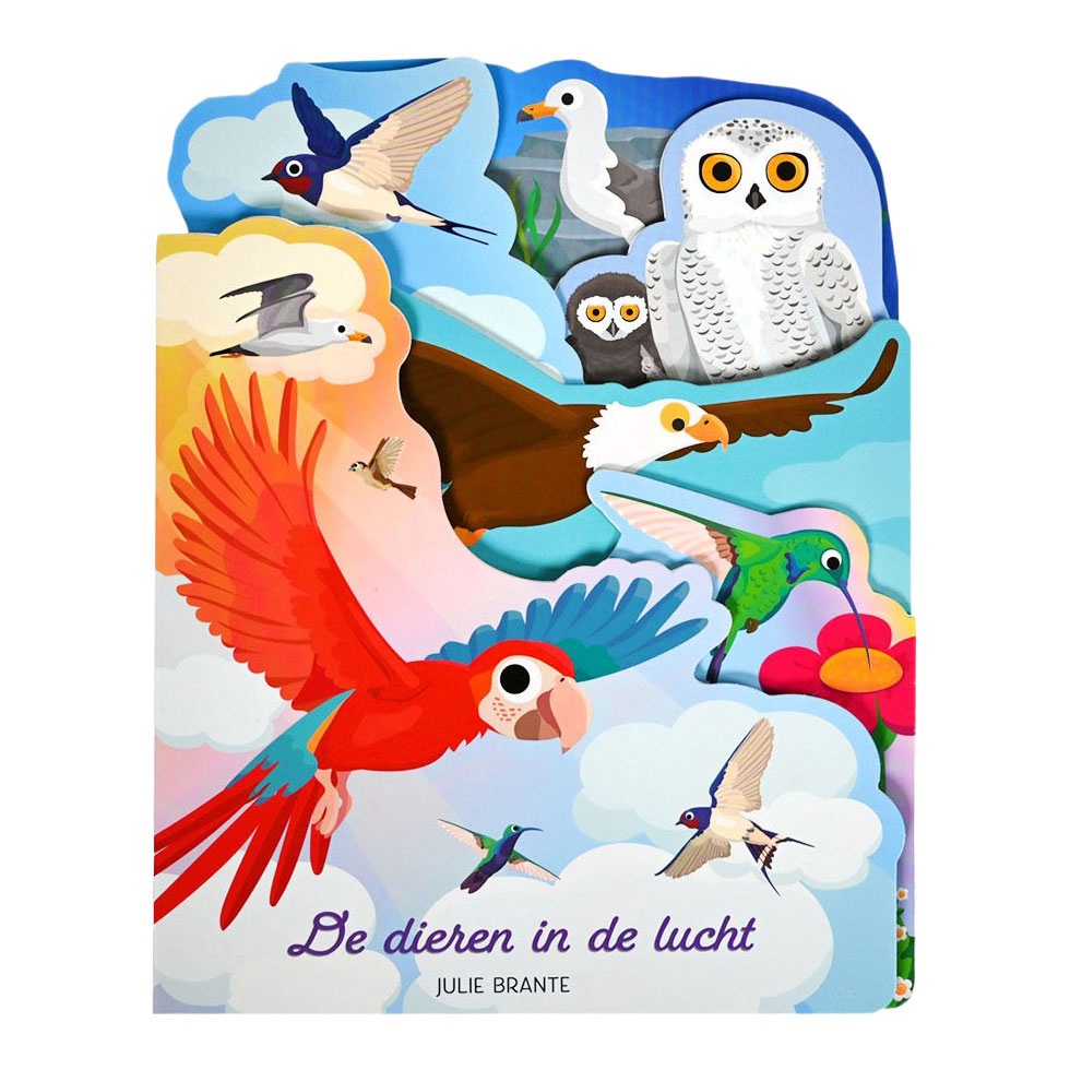 Shaped Kartonboekje Lucht - 3jr.