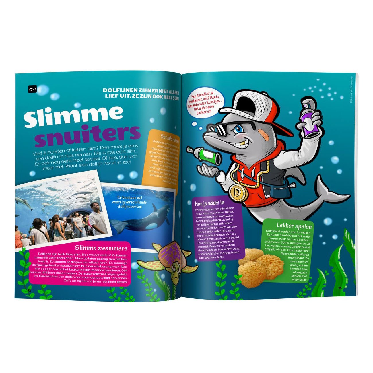 Quest Junior Ferienbuch