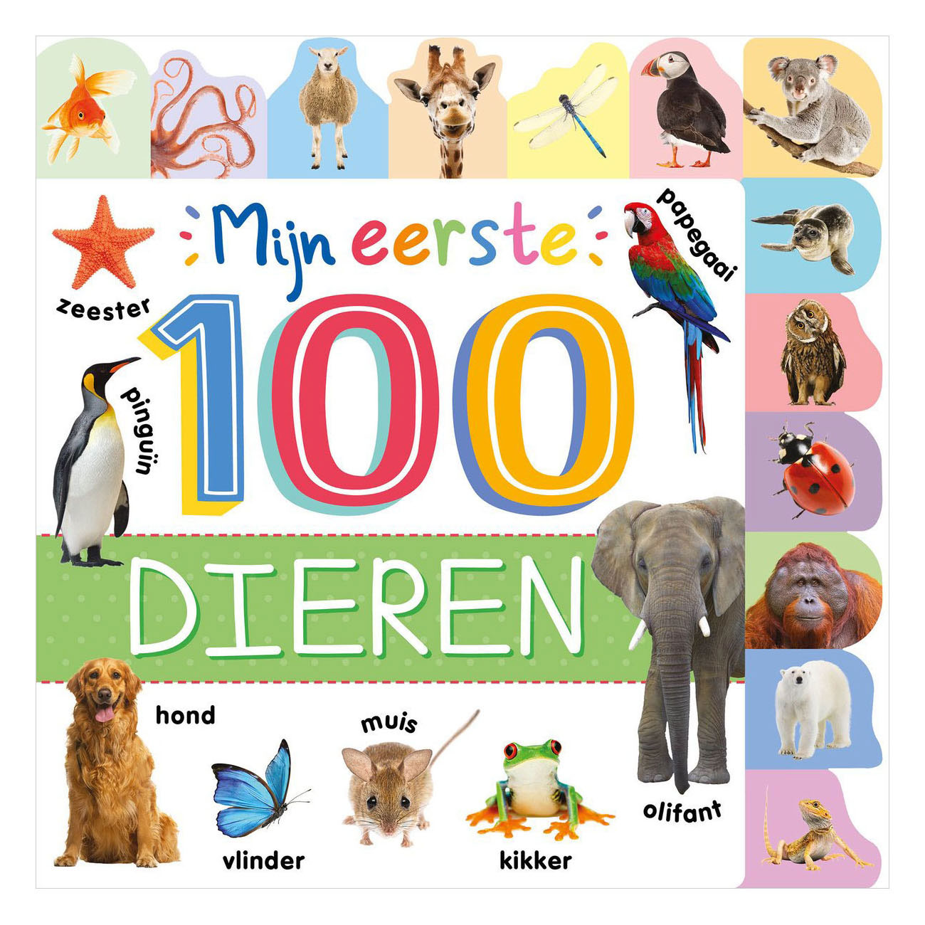 Mijn eerste 100 dieren - Mijn eerste 100