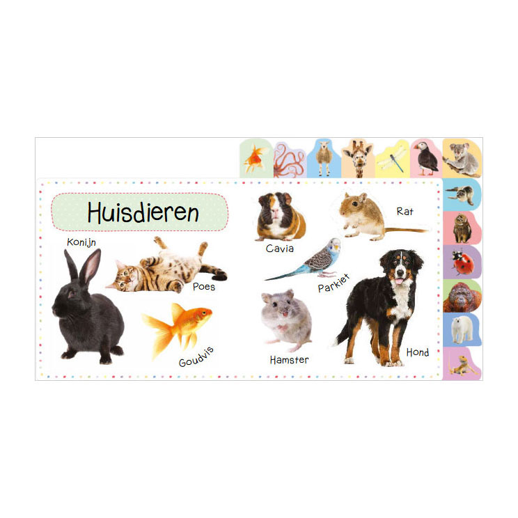 Mijn eerste 100 dieren - Mijn eerste 100