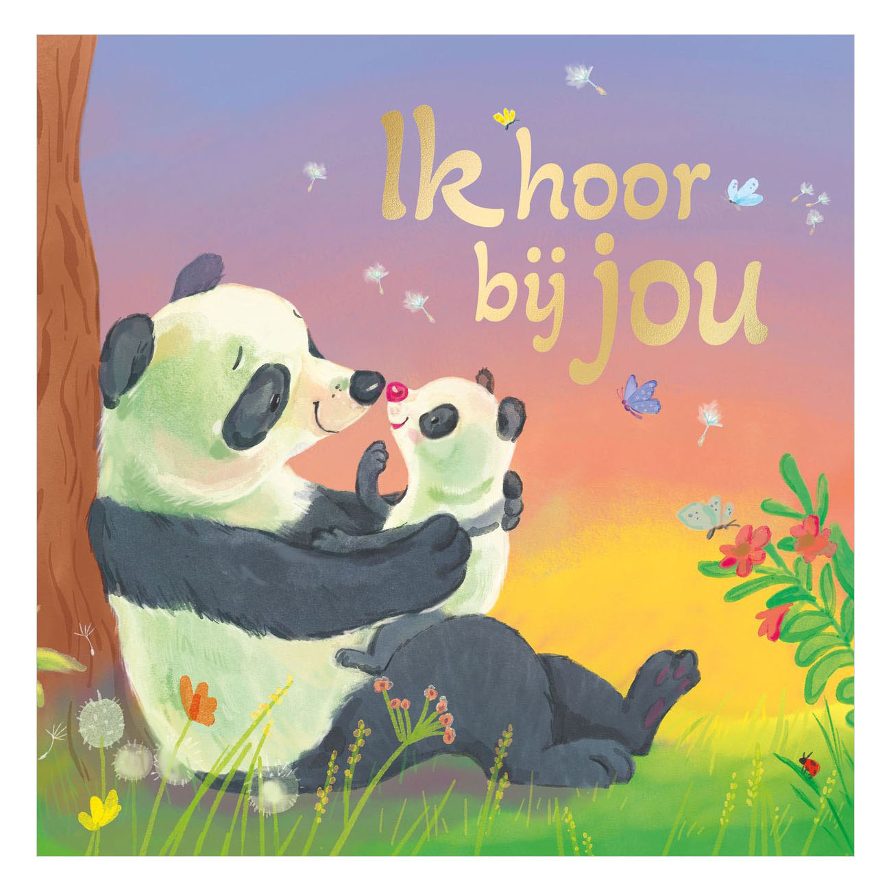Ik hoor bij jou