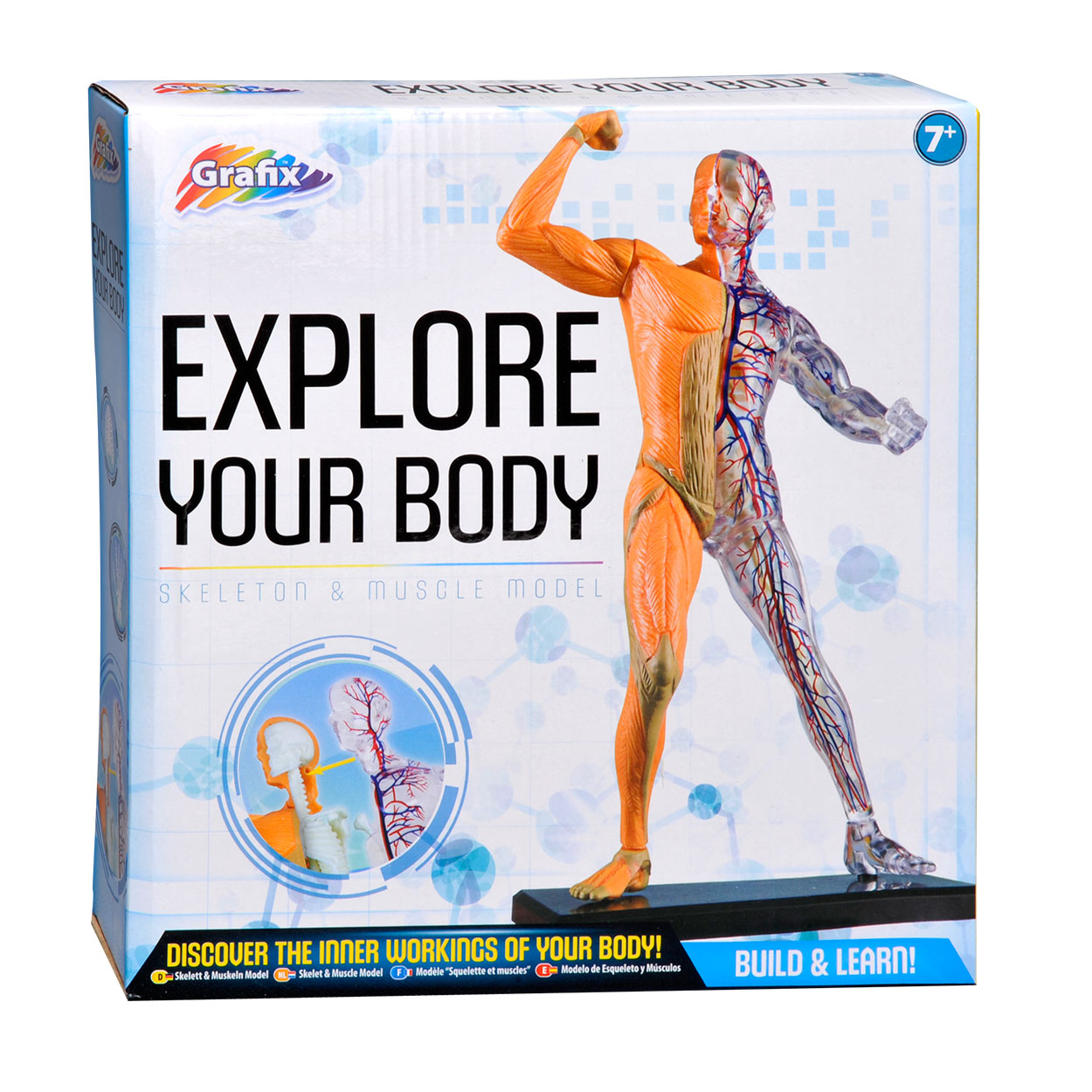 Explore Your Body - Skelet & Spieren