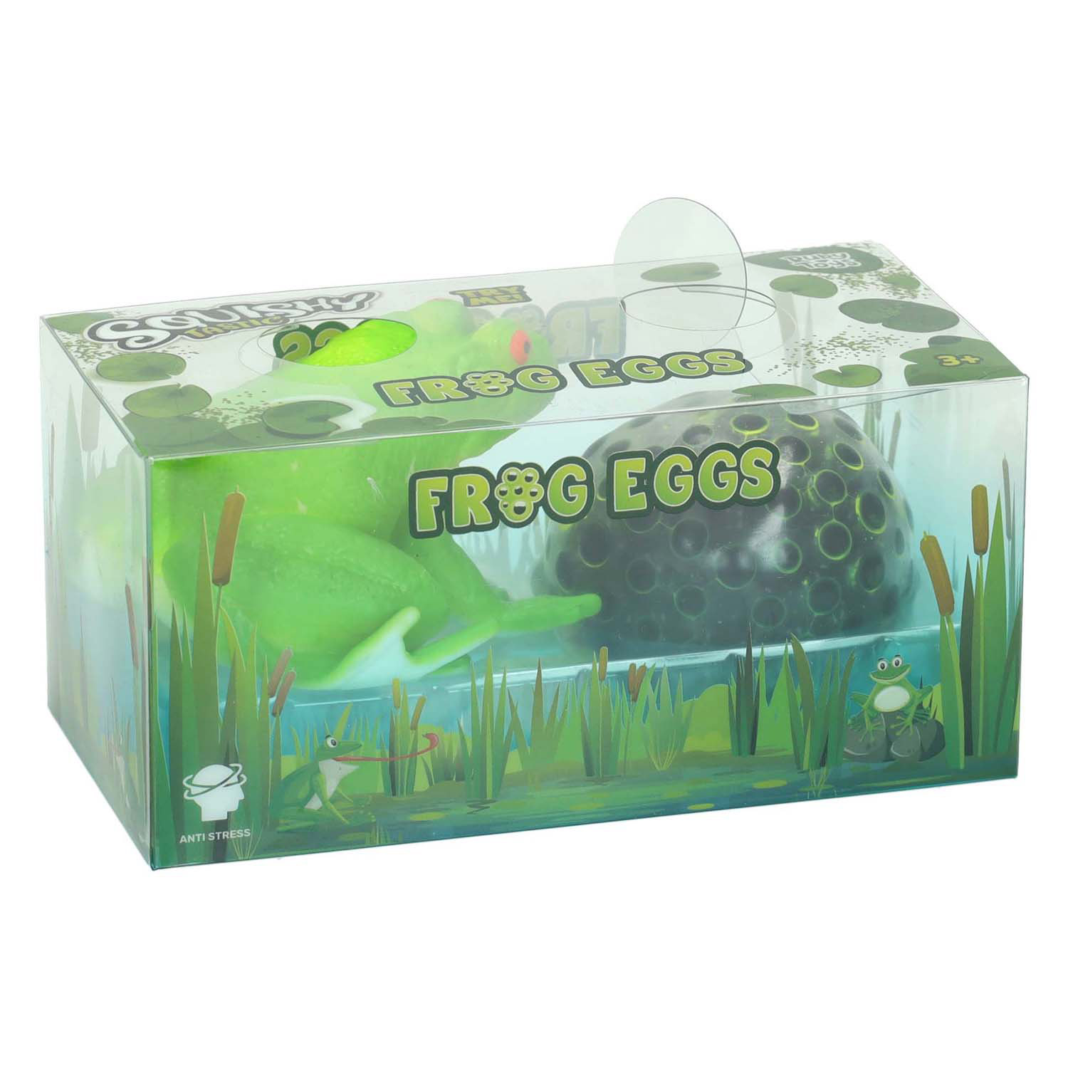 Kikker avec Frogspawn