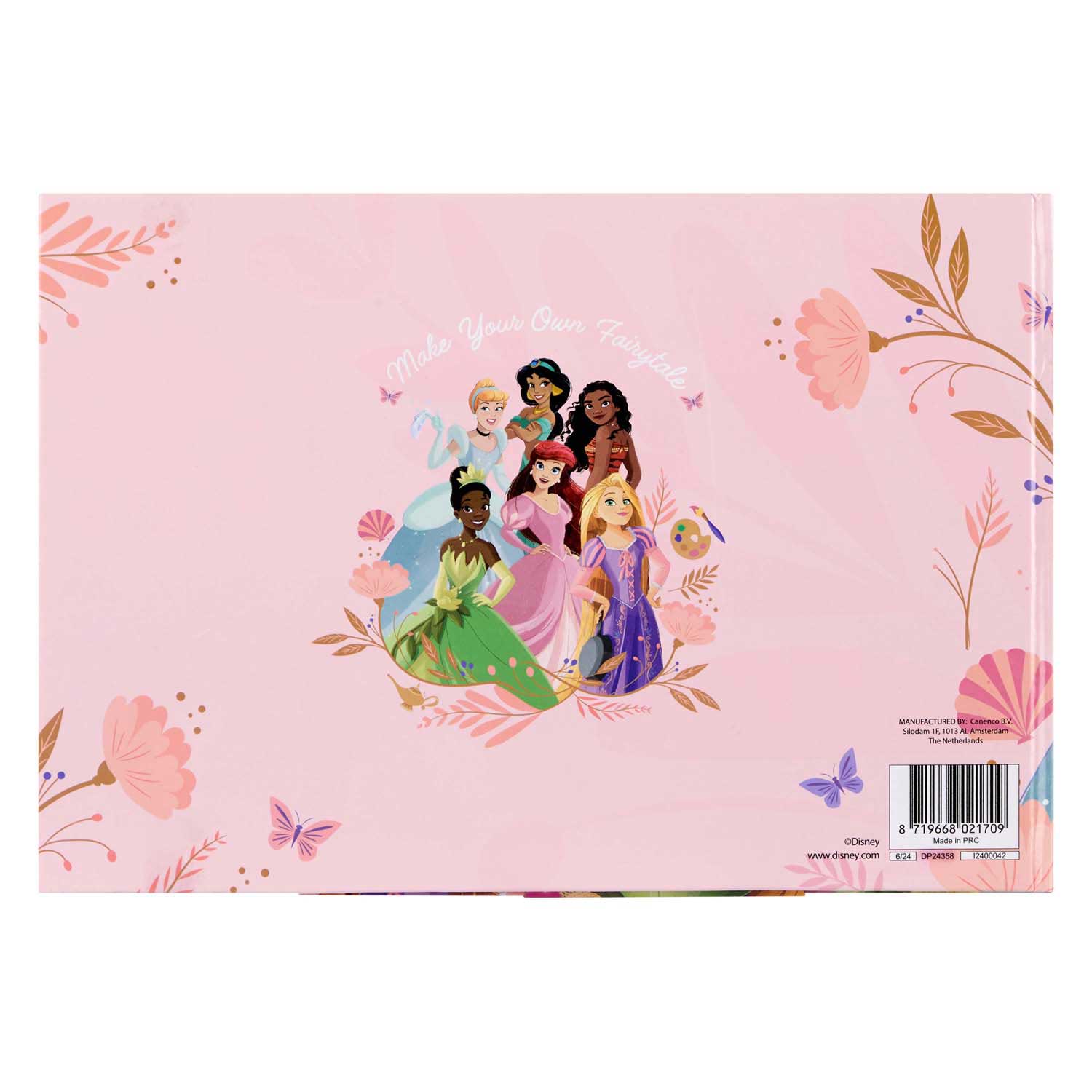 Livre magnétique Princesse Disney