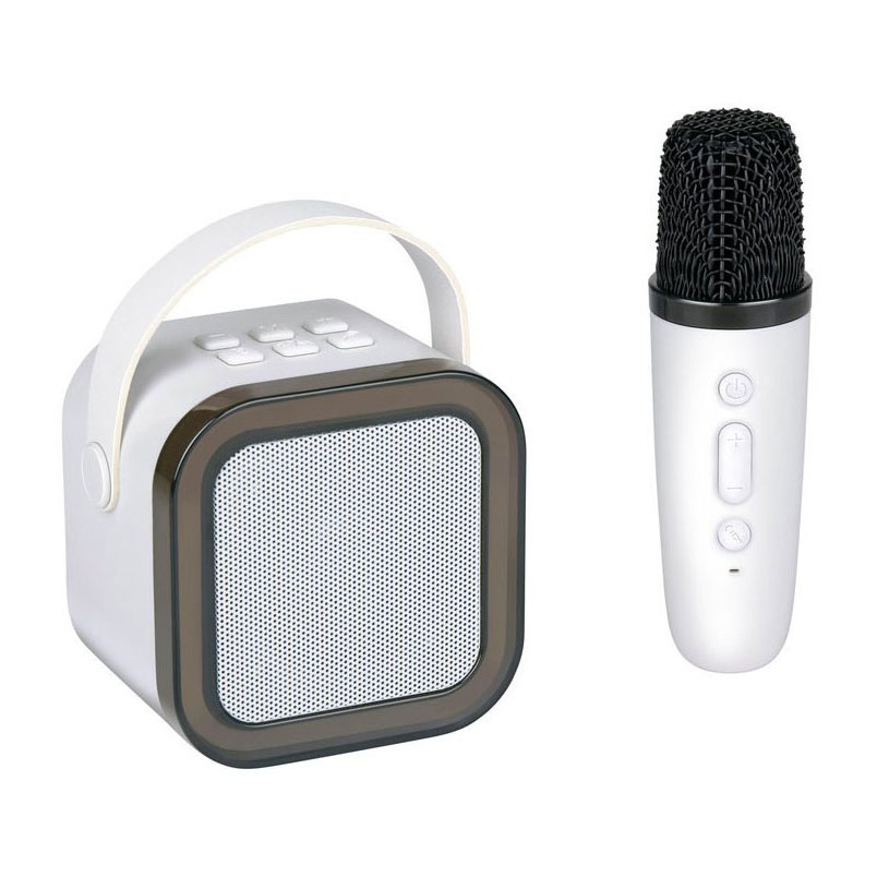 Kit karaoké avec microphone sans fil