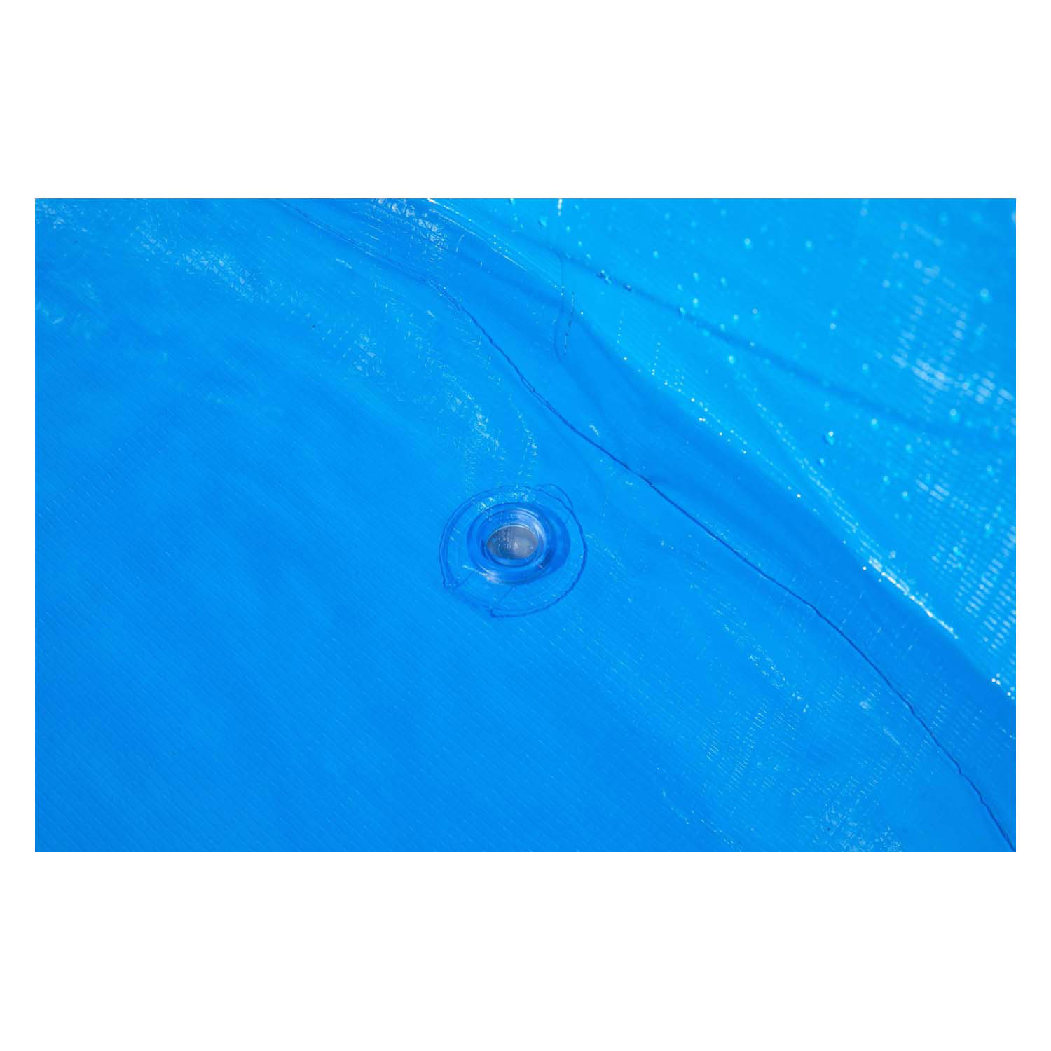 Piscine pour animaux de Bestway , 122 cm