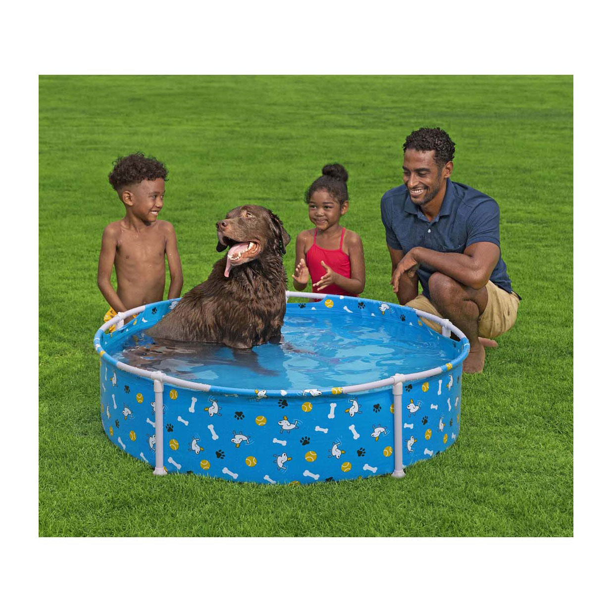 Piscine pour animaux de Bestway , 122 cm