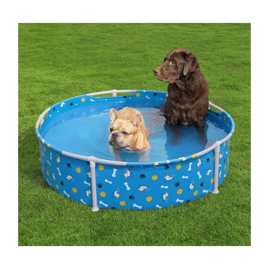 Piscine pour animaux de Bestway , 122 cm