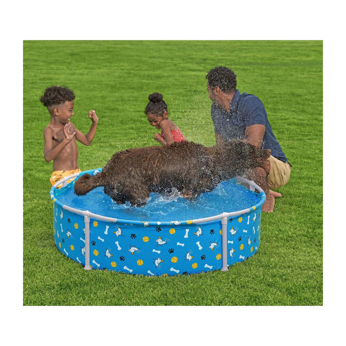 Piscine pour animaux de Bestway , 122 cm