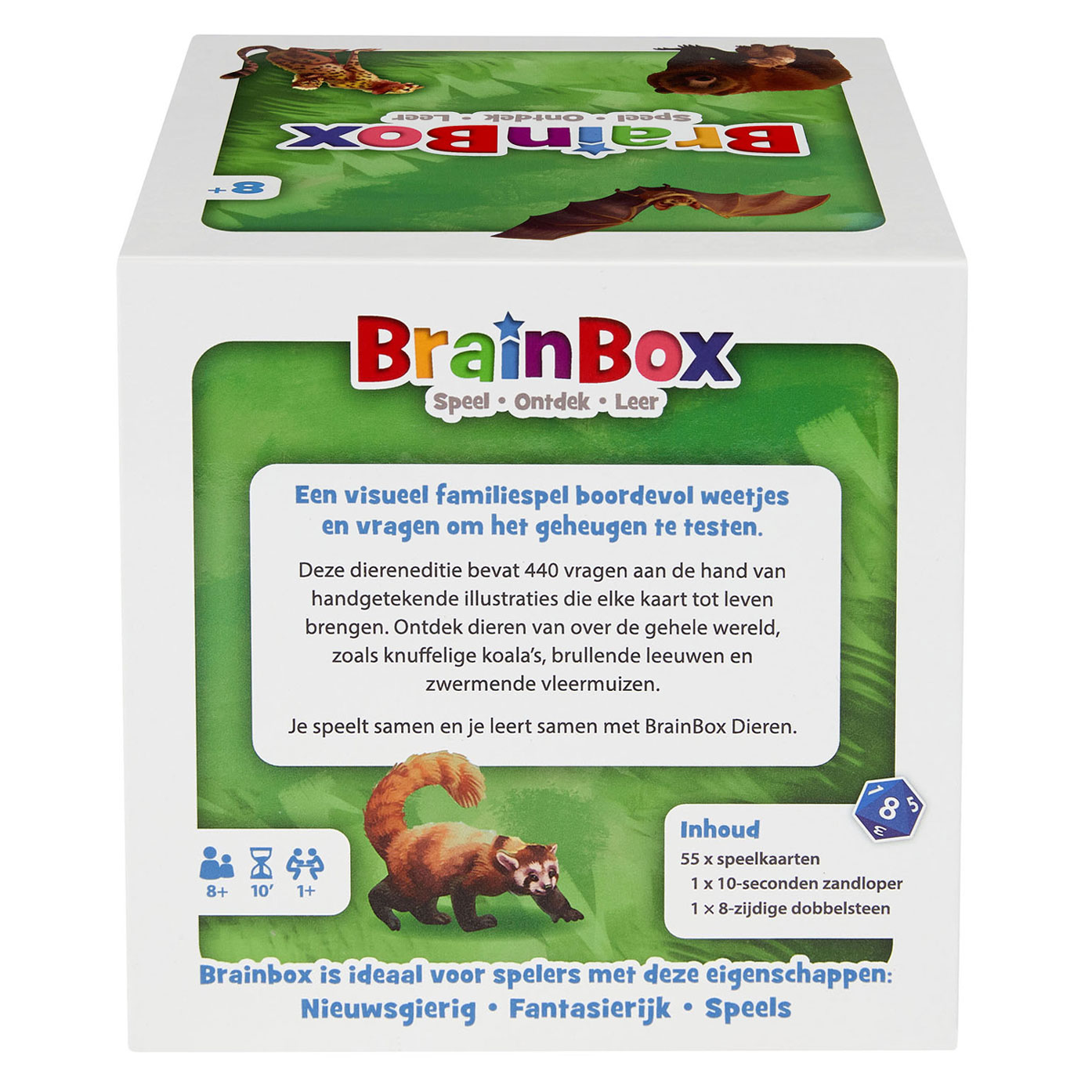 BrainBox Dieren Bordspel